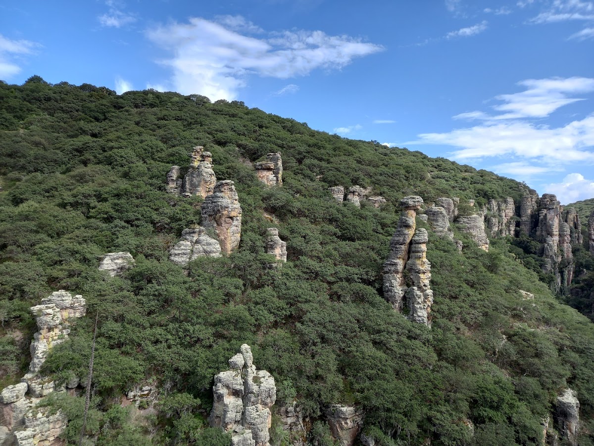 Los Panales de Sierra de Lobos
