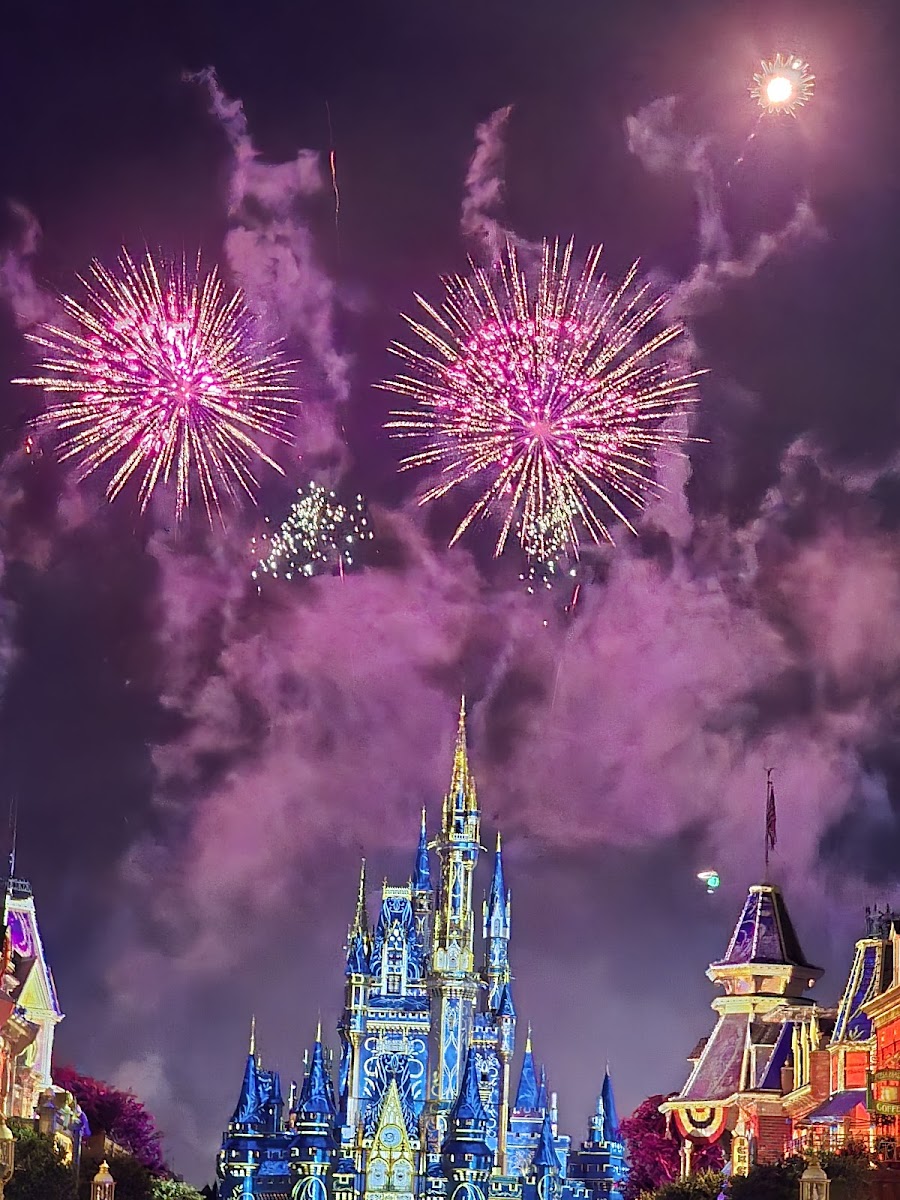 Magic Kingdom Park