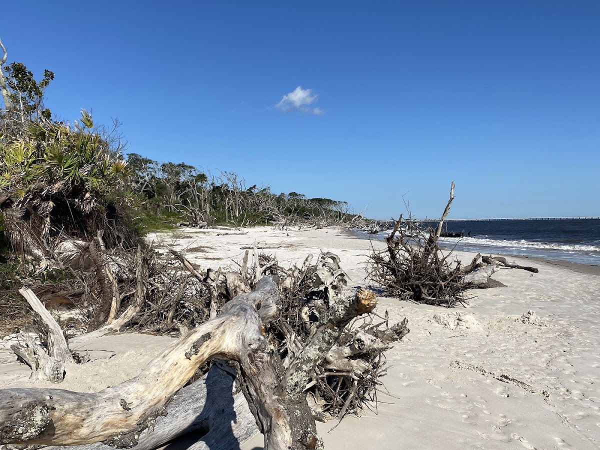 Talbot Island