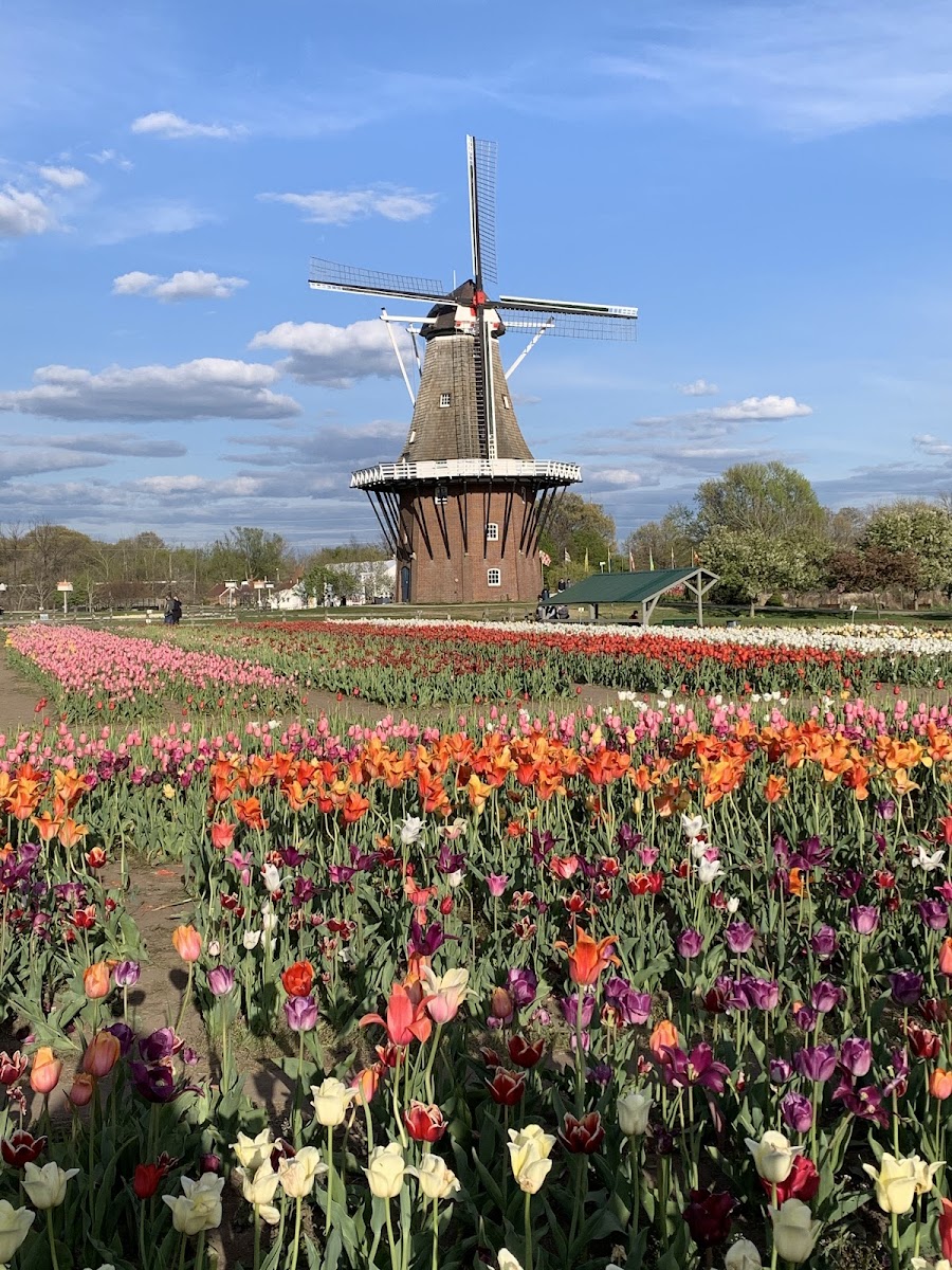 Windmill Island