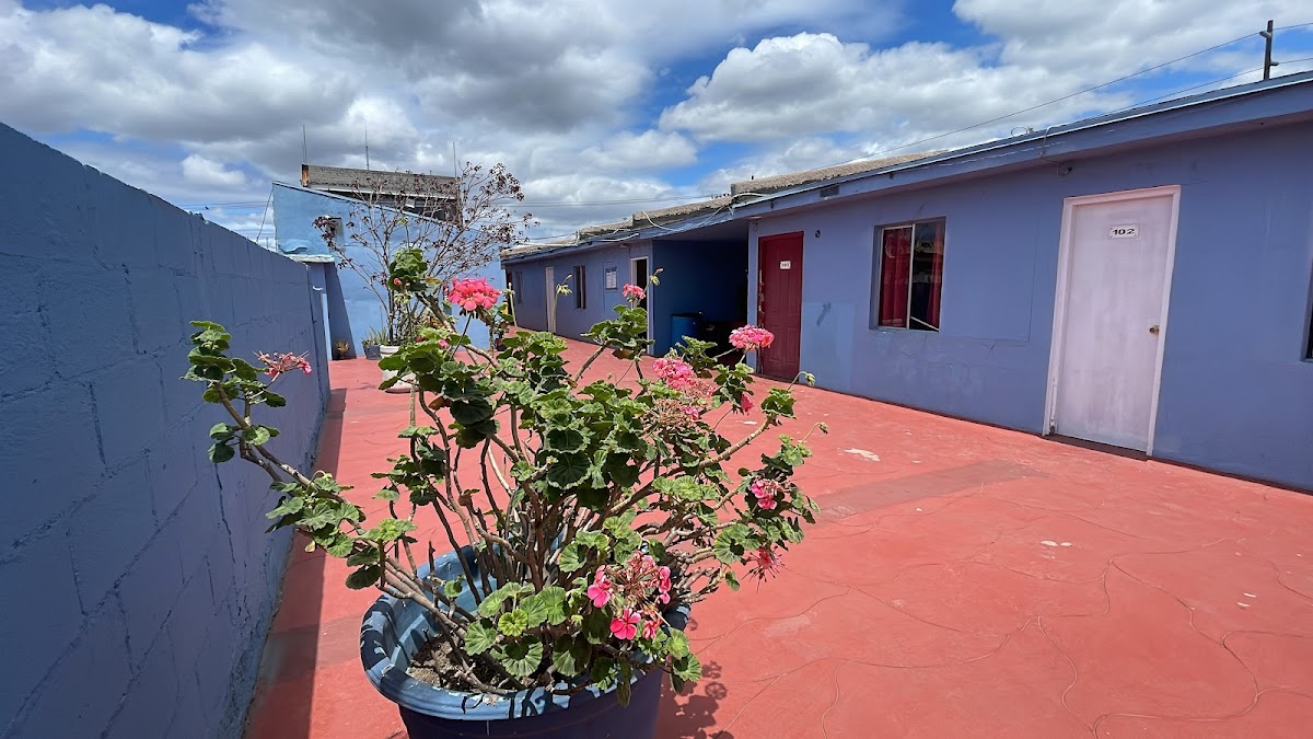 HOTEL NUBIA photo 3
