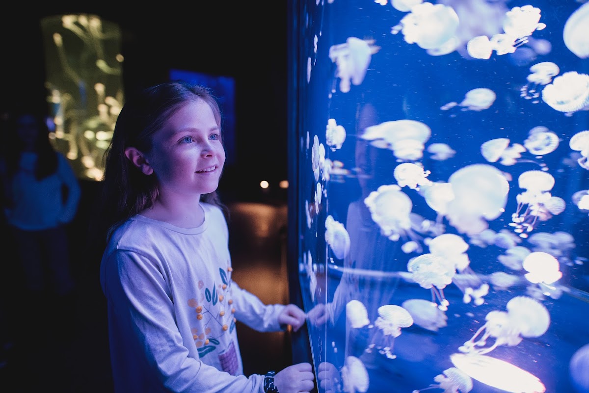 Aquarium of Quebec