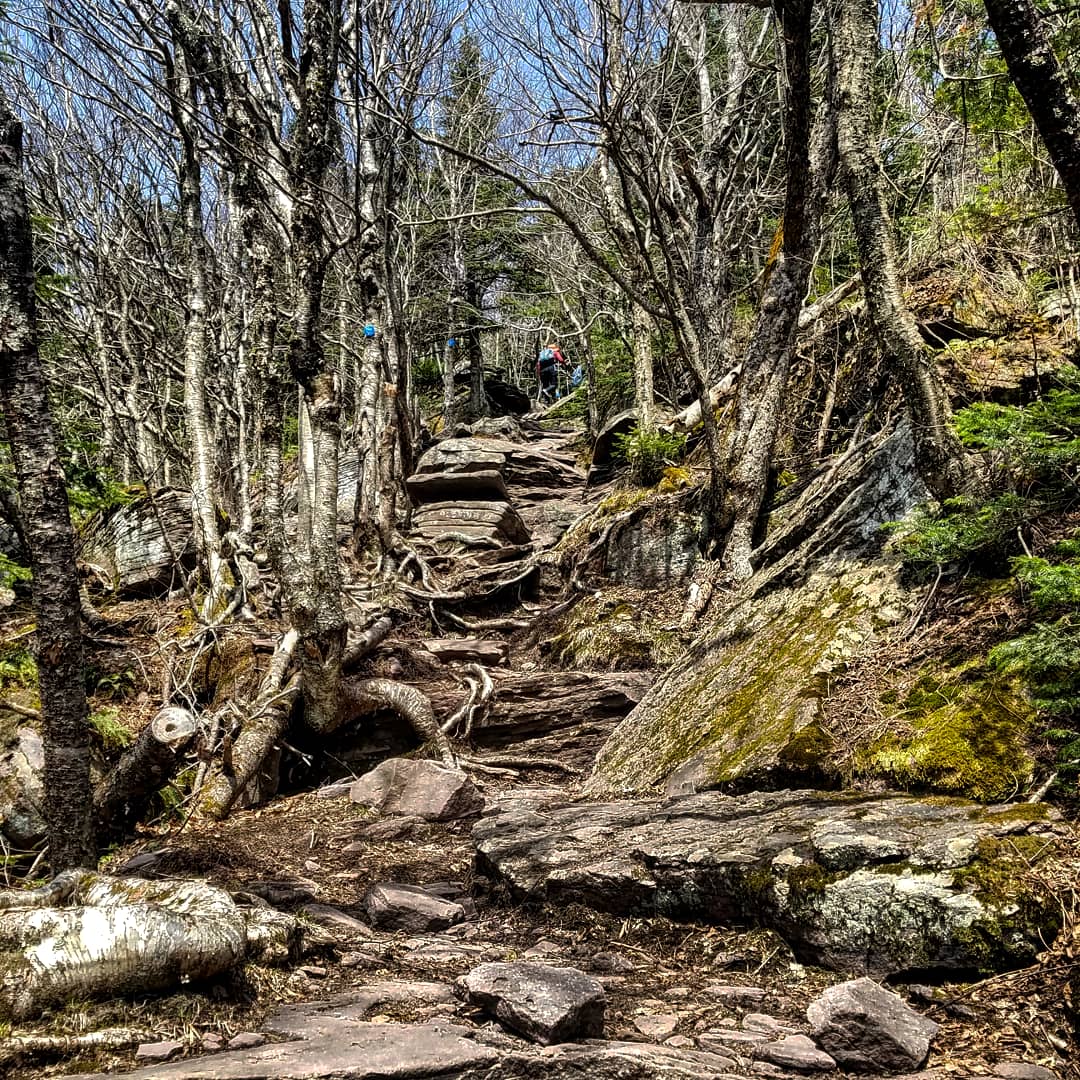 Panther Mountain
