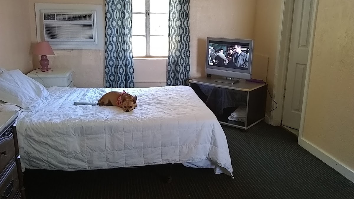 Green Key Beach Motel photo 3