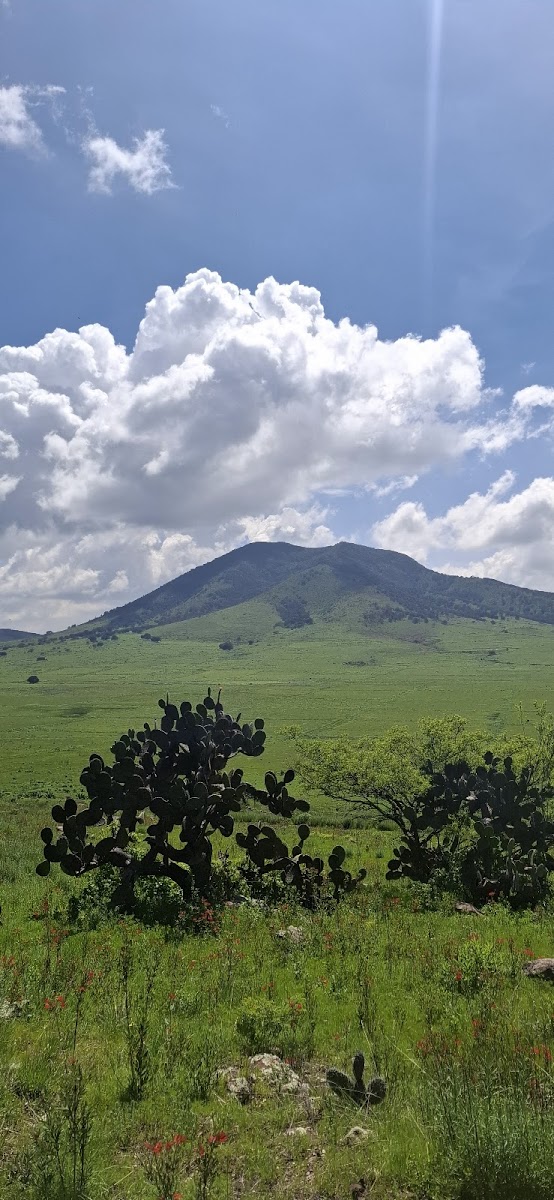 Cerro Hualtepec