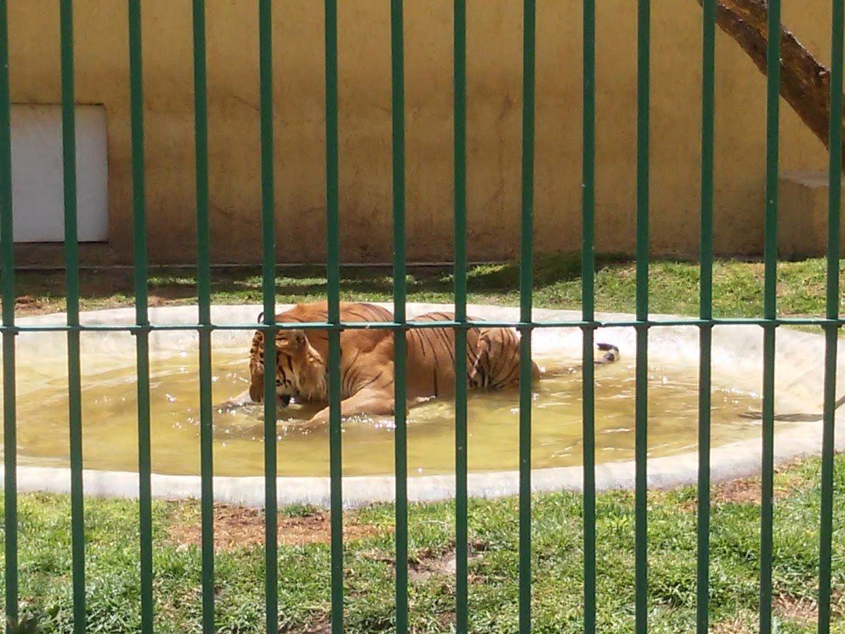 Bioparque de Convivencias Tizayocan
