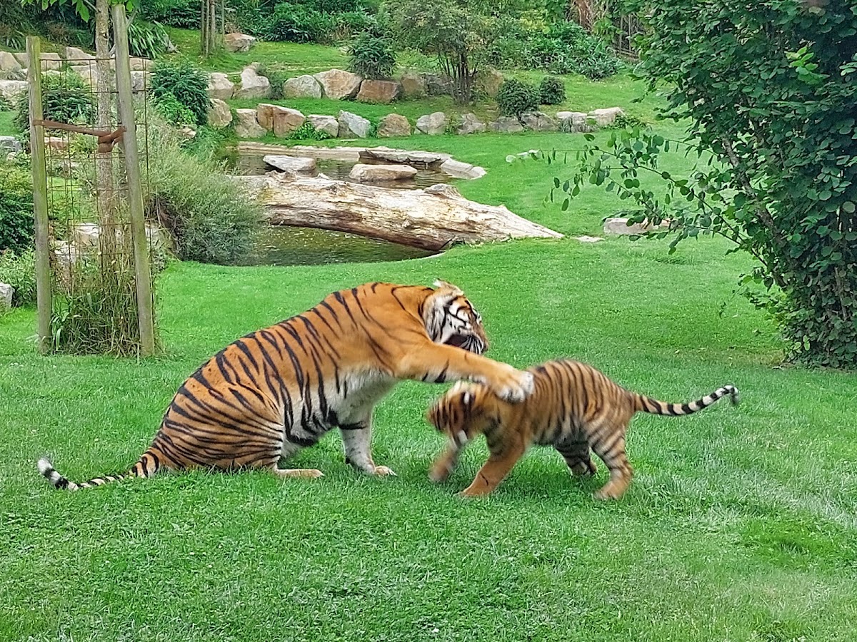 Zoo de Champrépus