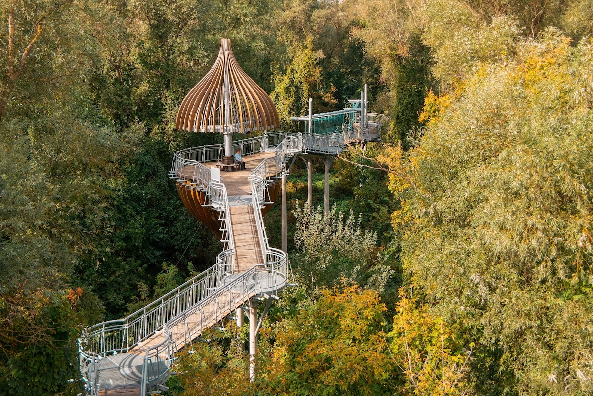 Lombkorona Sétány