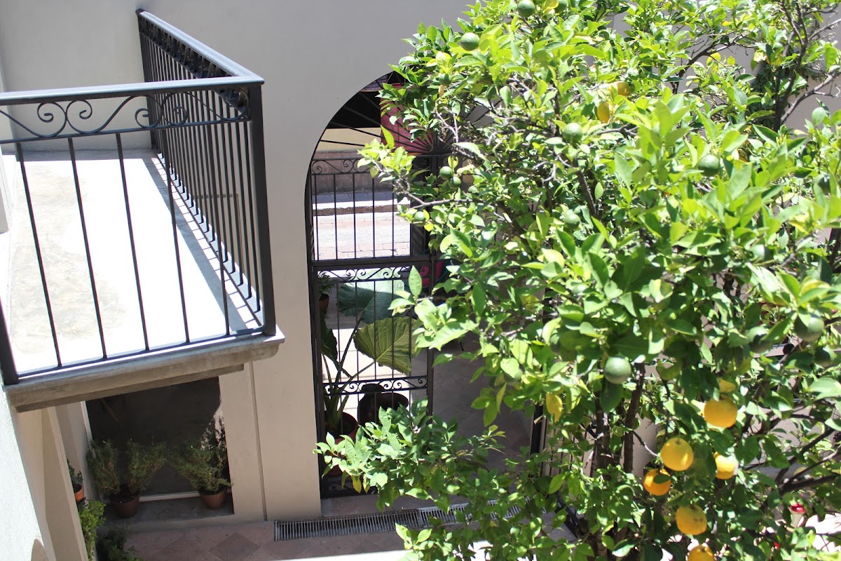 Hotel Mamá Carlota photo 2