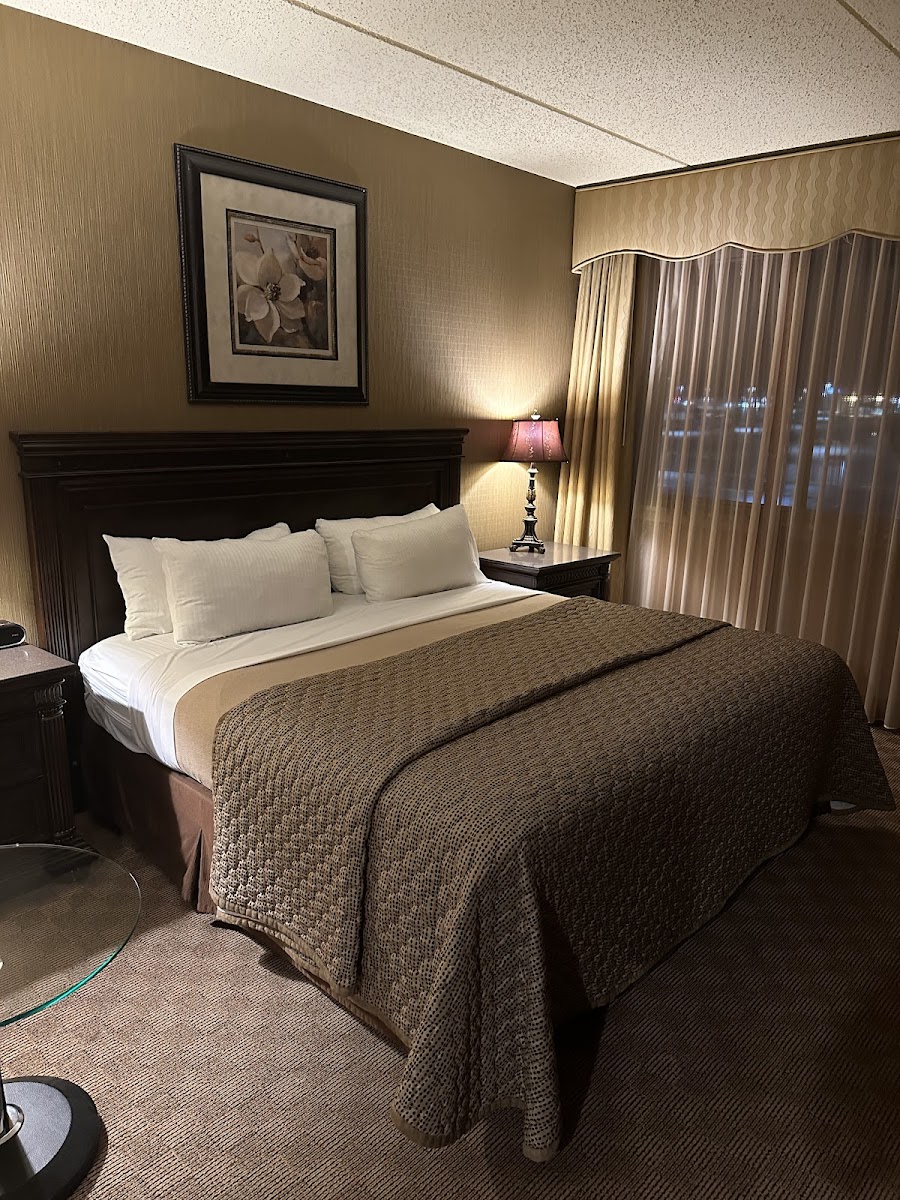 Salvatore’s Grand Hotel photo 2