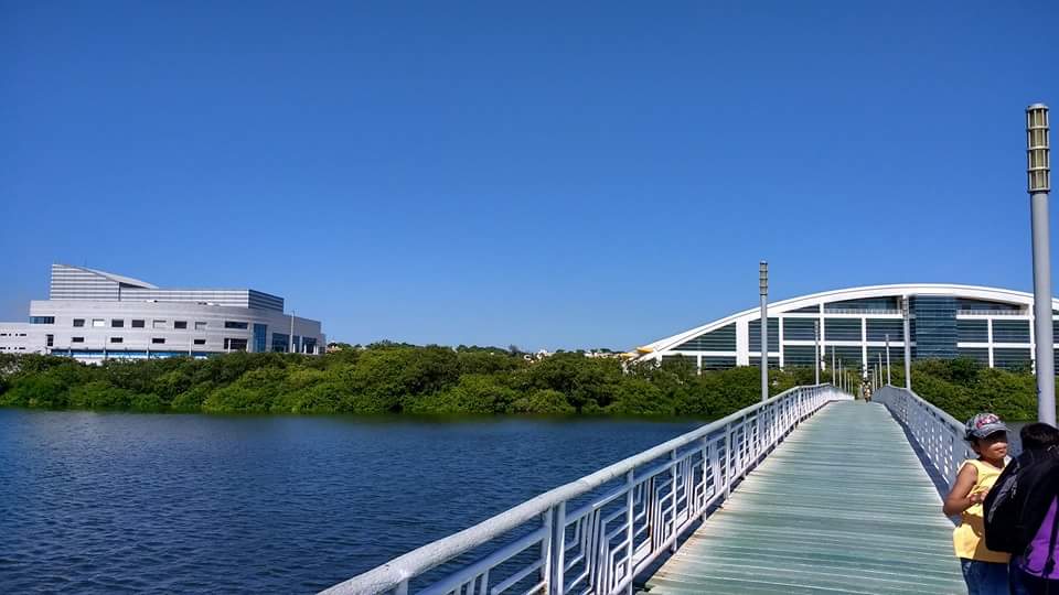 Carpenter's Lagoon