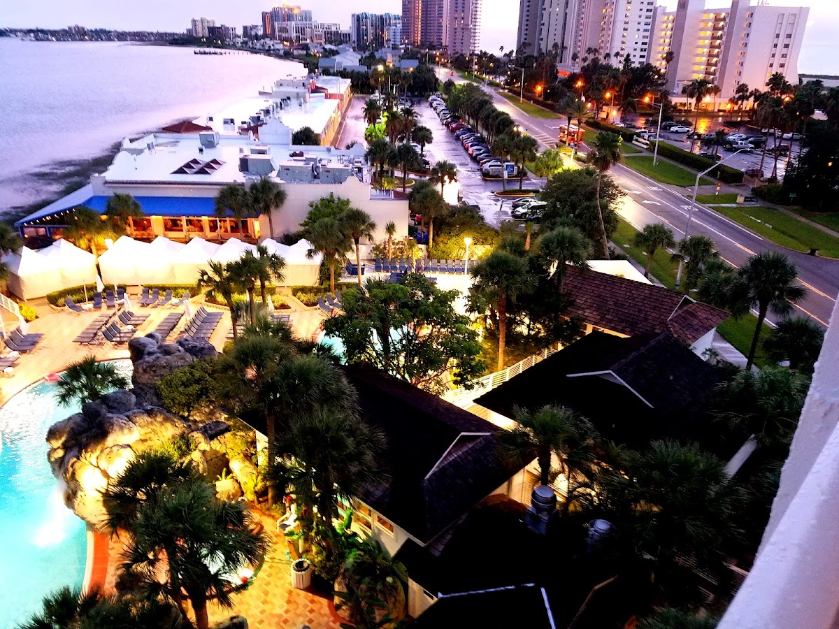 Clearwater Beach Marriott Resort on Sand Key photo 3
