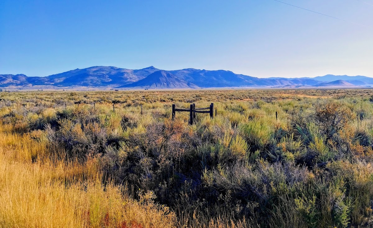 Sierra Valley