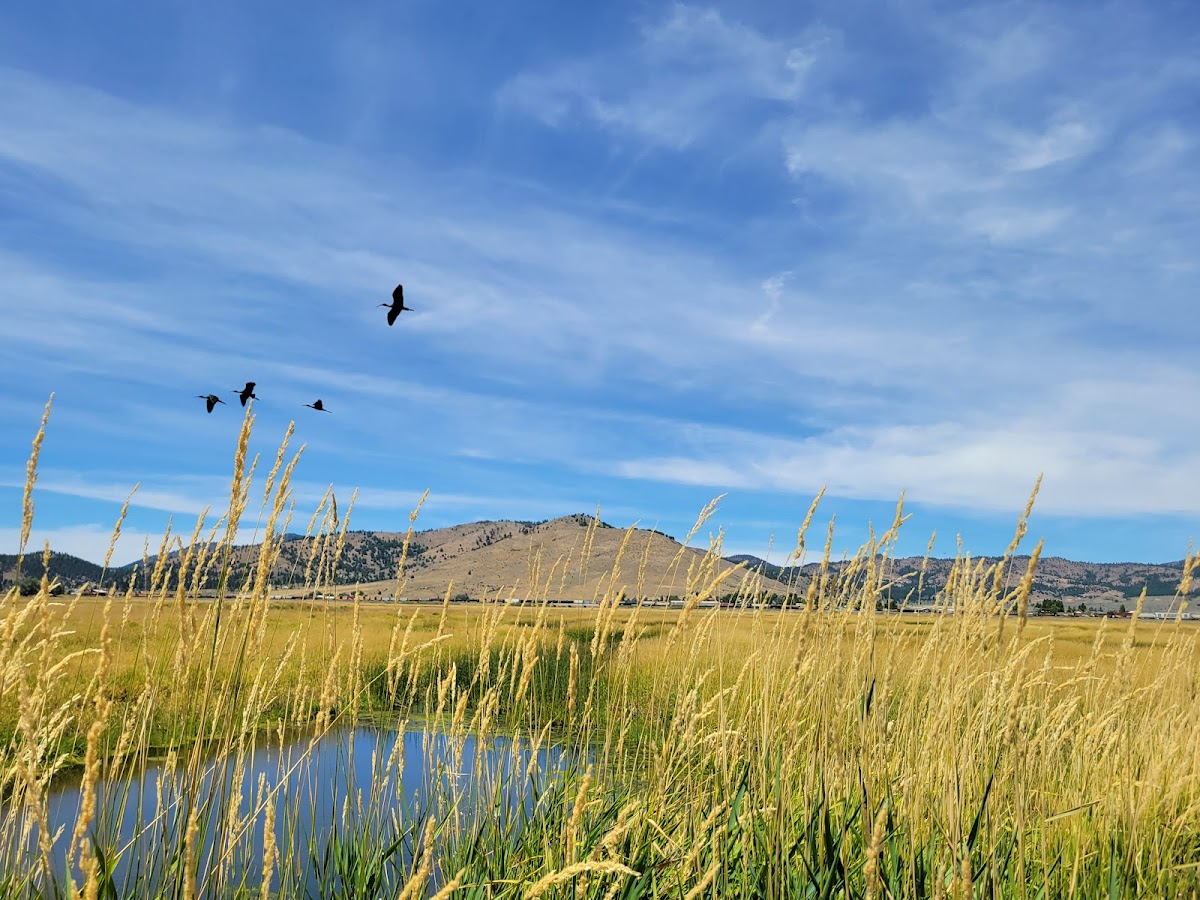 Sierra Valley Preserve Nature Center