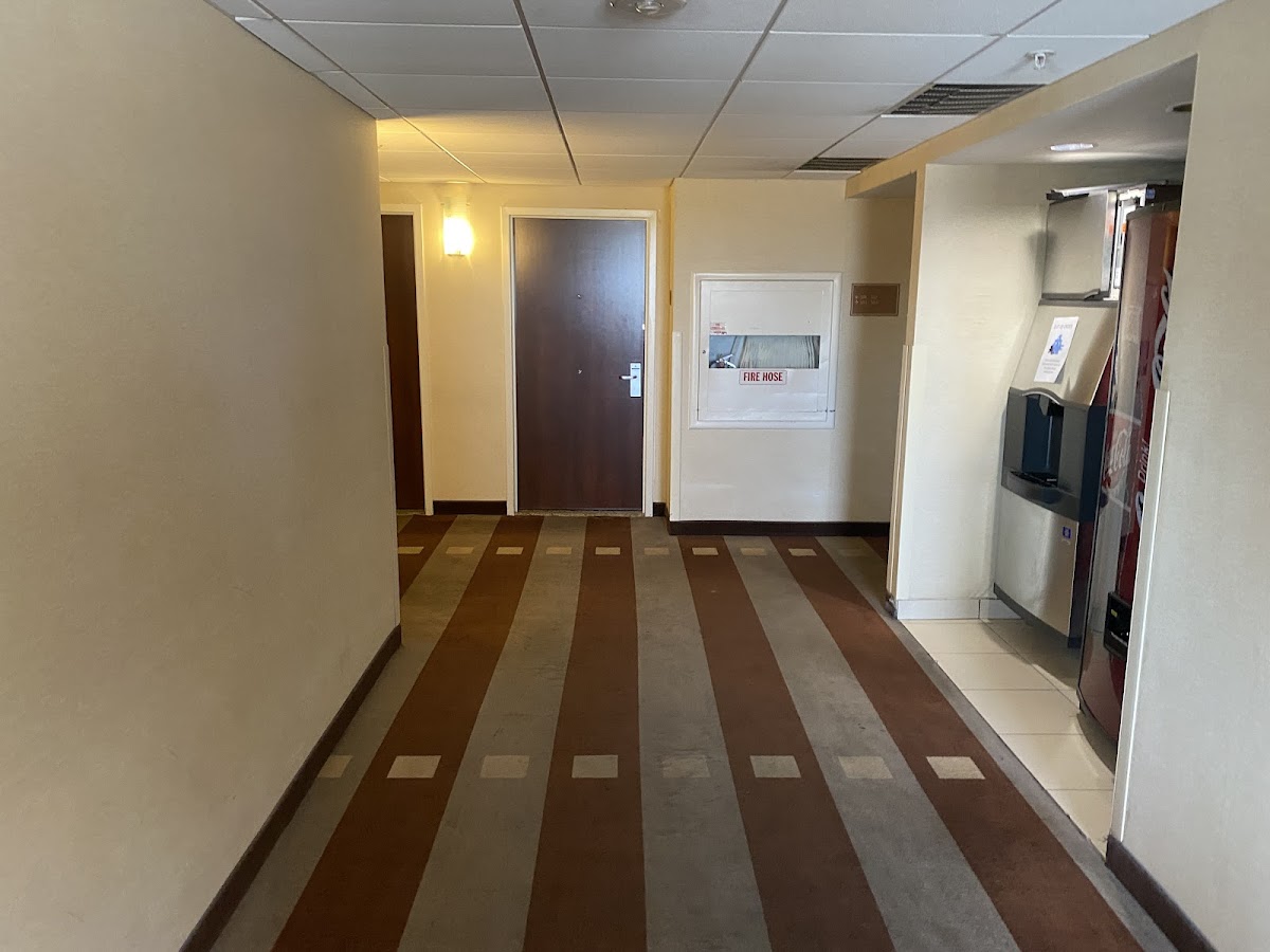 Midtown Garden Hotel photo 3