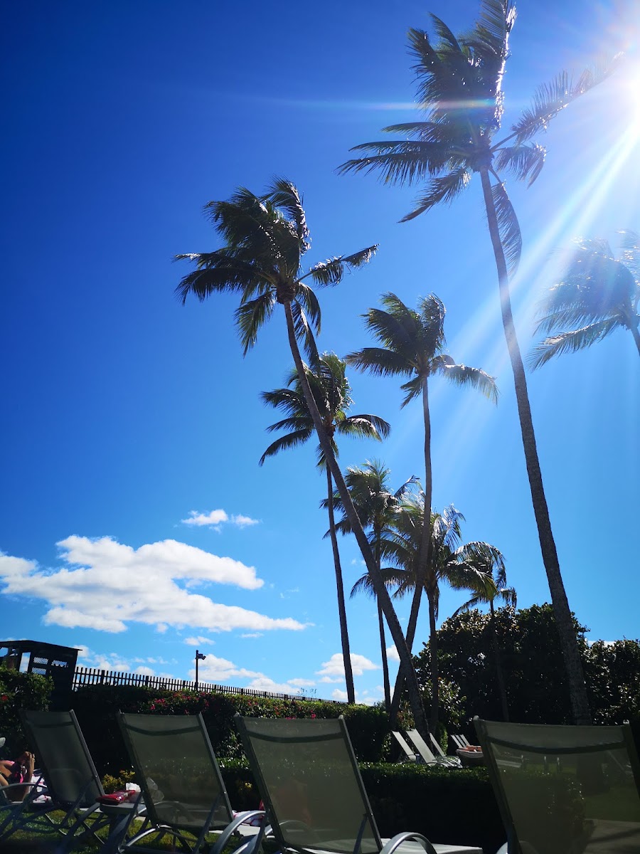 Hora Vacation Rentals