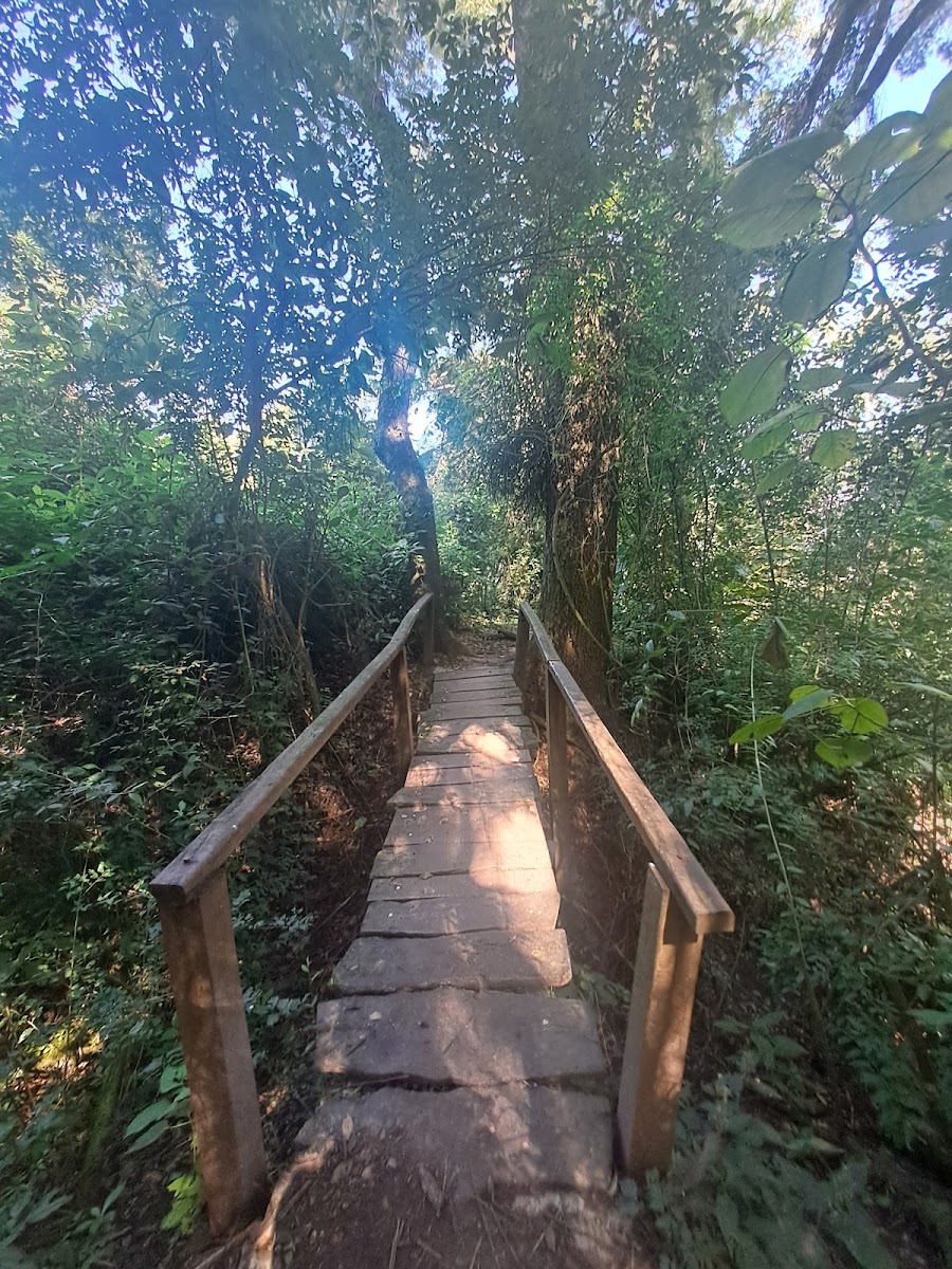 Parque Botánico Municipal 