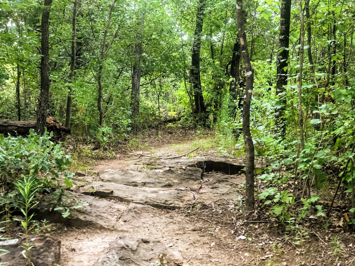 Endeavor Bridgeport Adventure Park Hike And Bike Trail