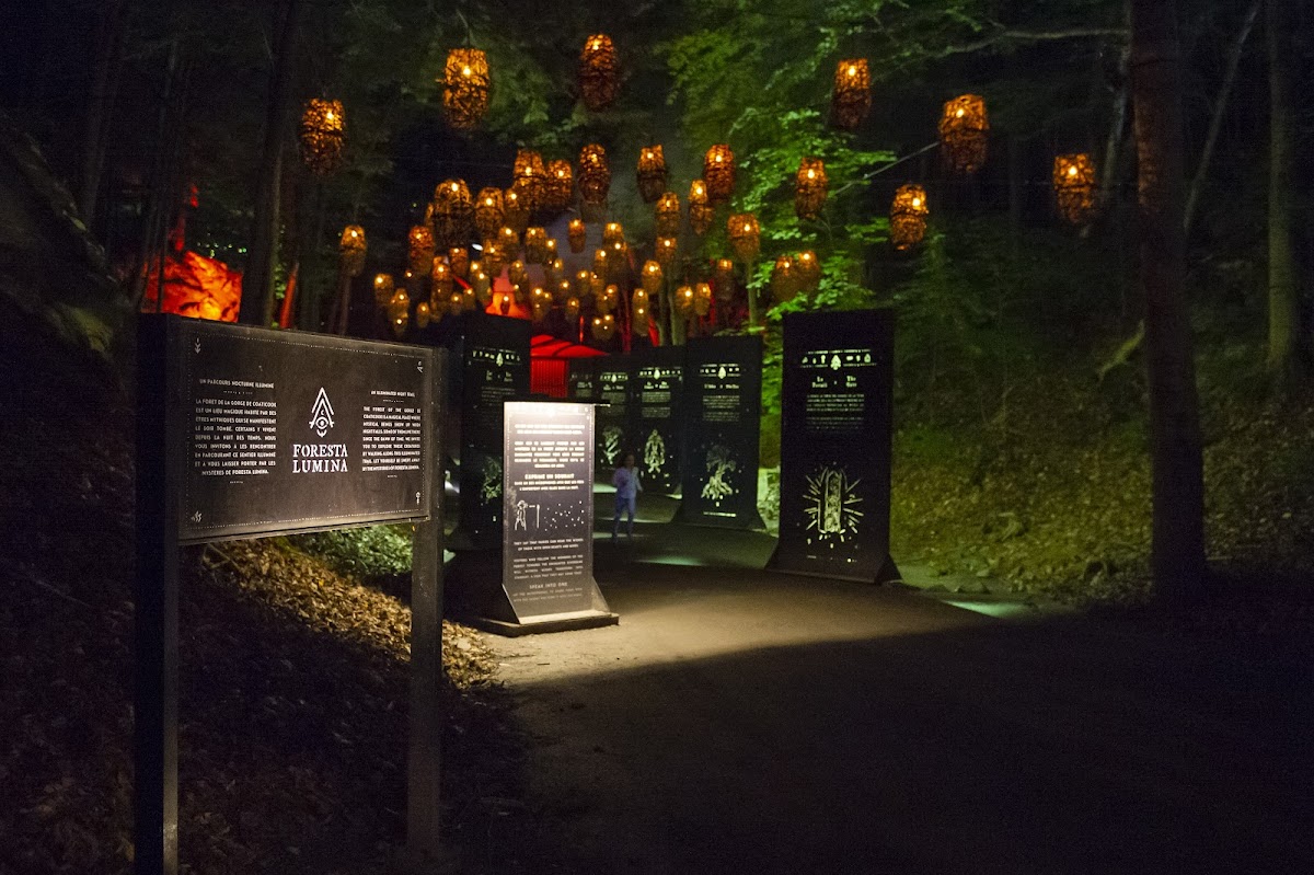 Foresta Lumina