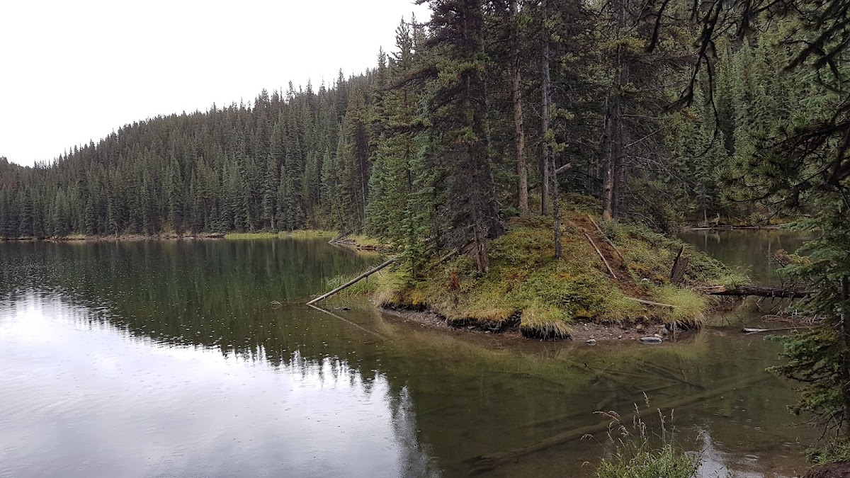 Moose Lake