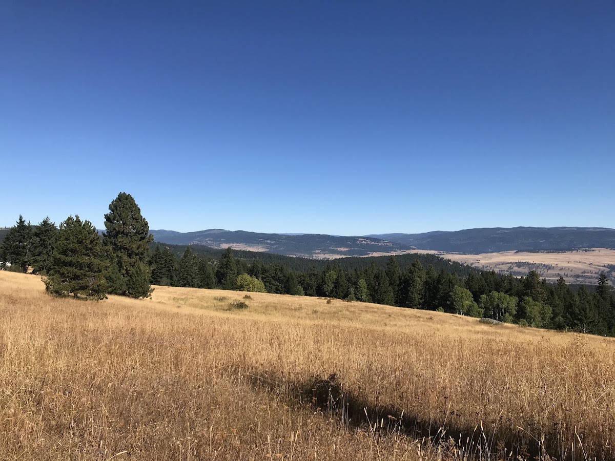 China Ridge Trails