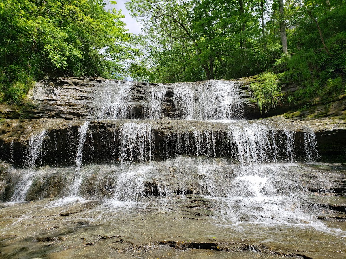 Fallsville Wildlife Area