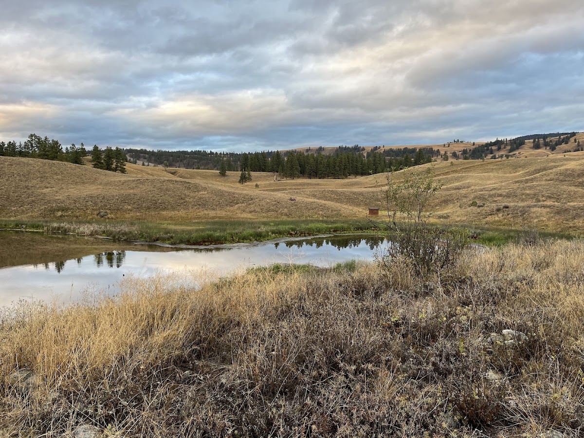Swan Lake Nature Reserve