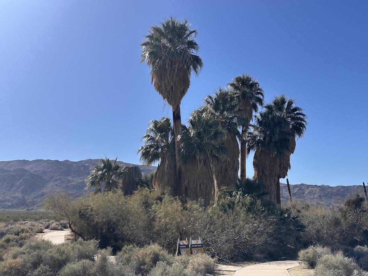 Oasis Of Mara Nature Trail Trailhead