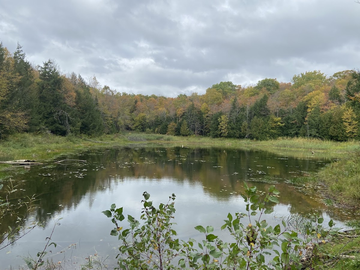 Pretty River Valley Provincial Park