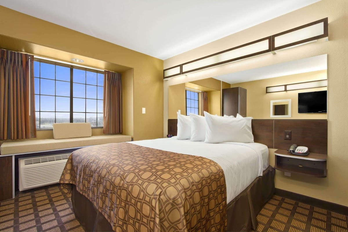 Microtel Inn & Suites by Wyndham Round Rock photo 2