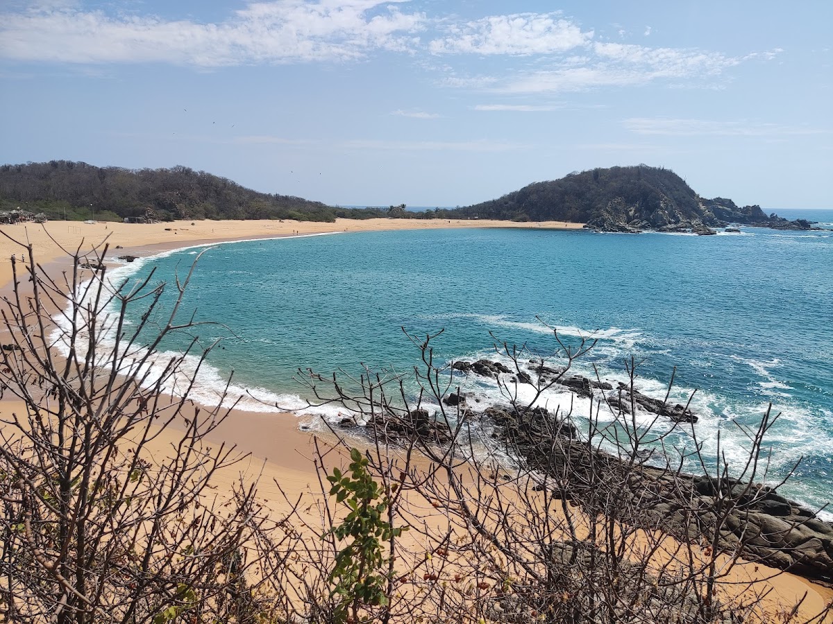 Bahia Conejos