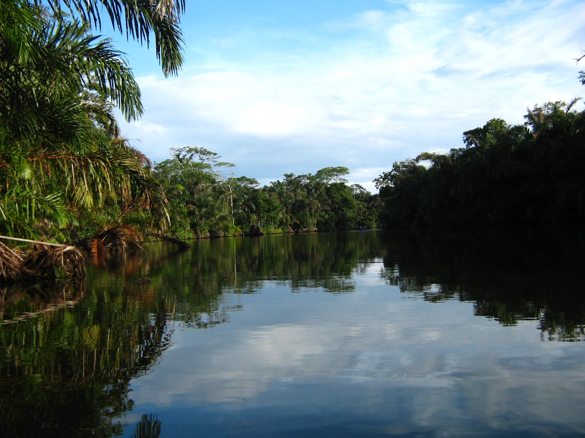 Laguna Gandoca