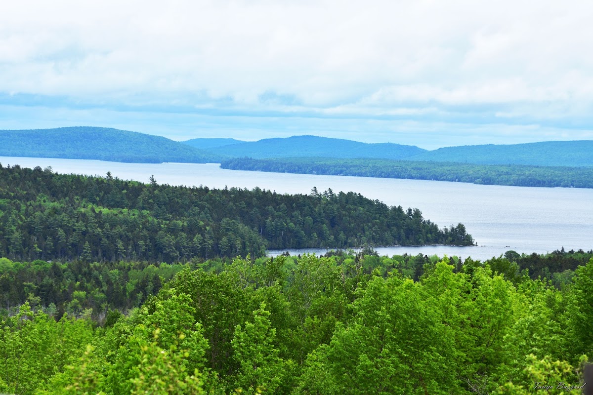 Million Dollar View Scenic Outlook
