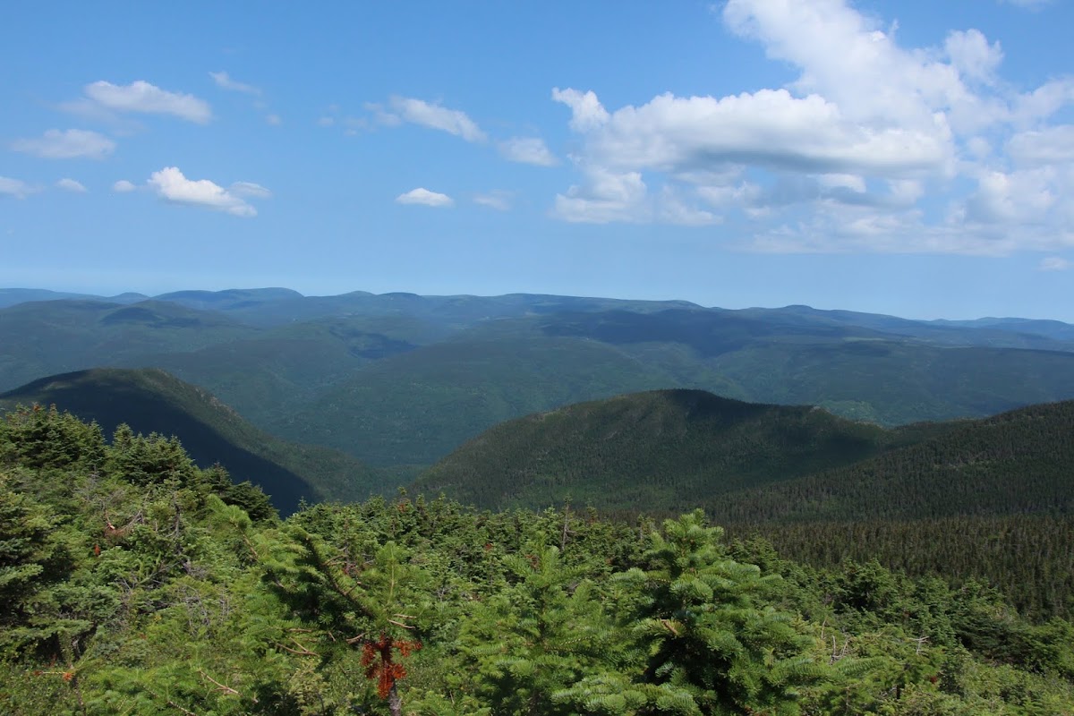 Mont Albert