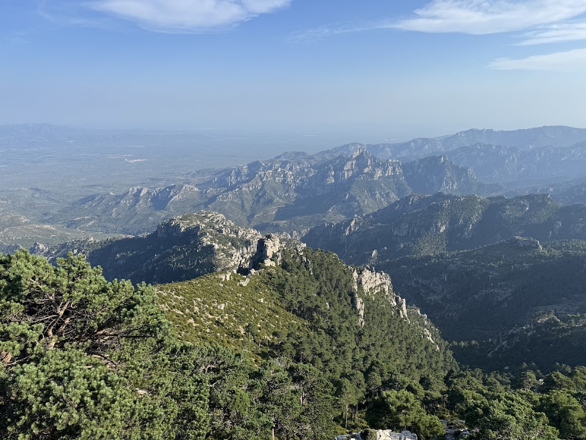 Mont Caro