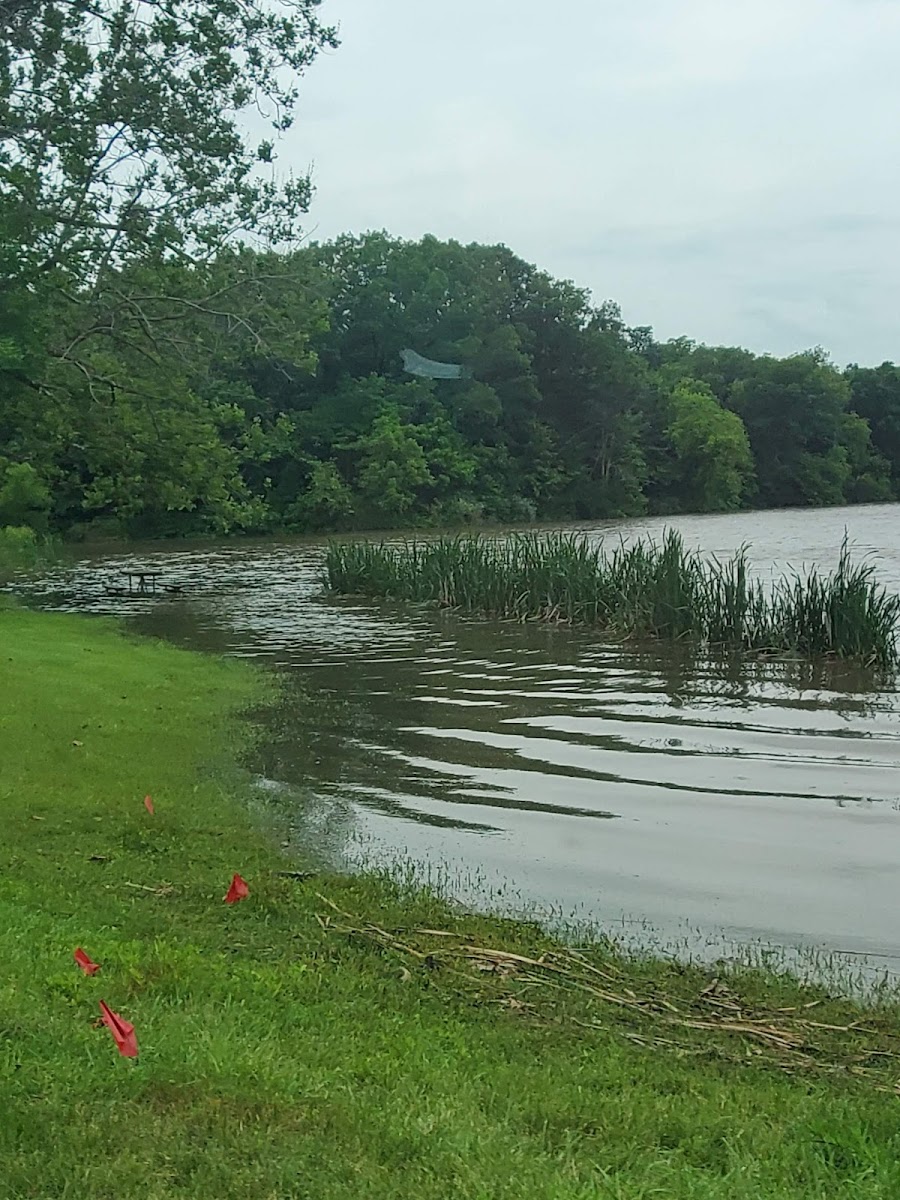 Dawson Lake
