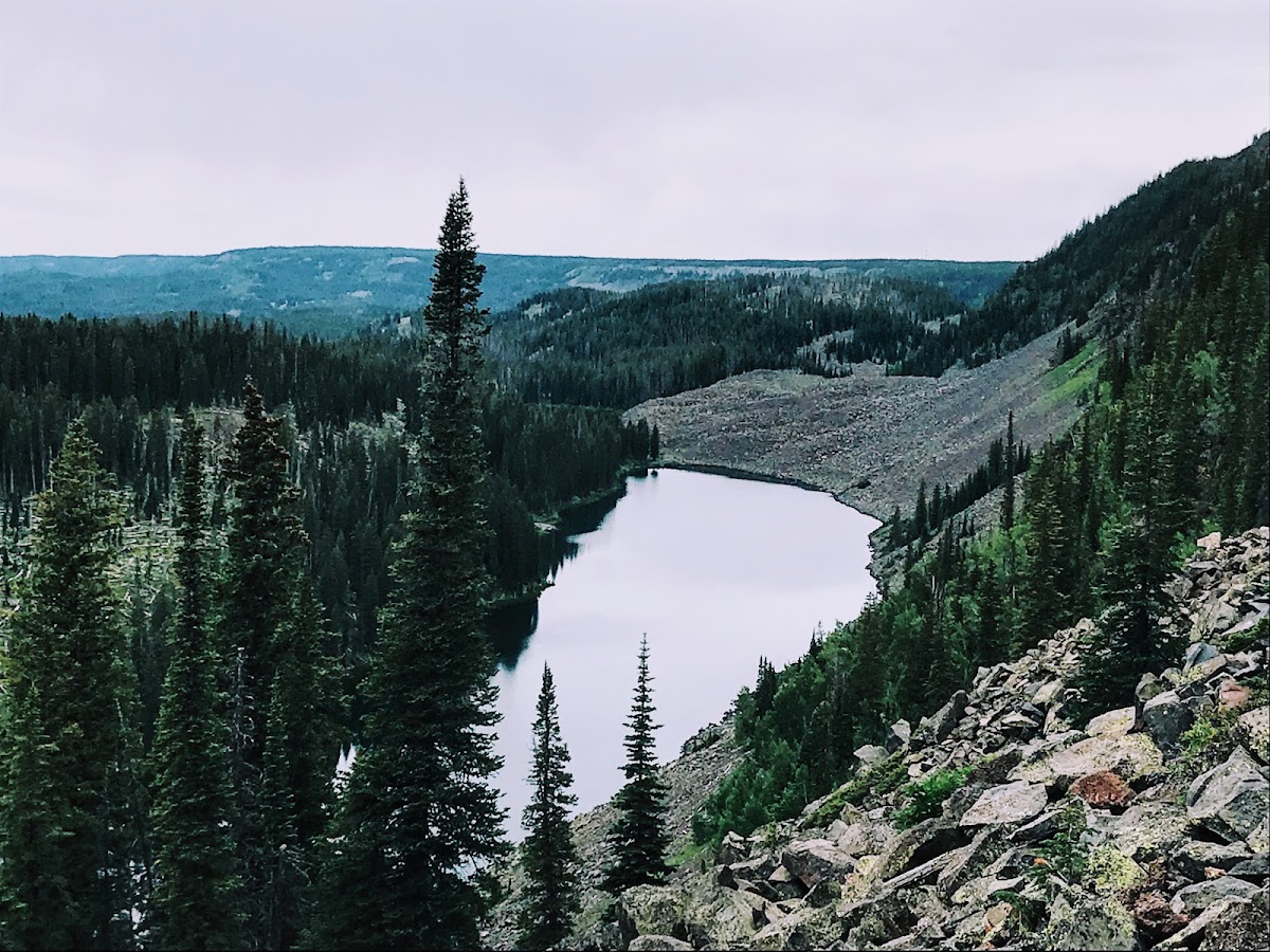 Crag Crest Trail