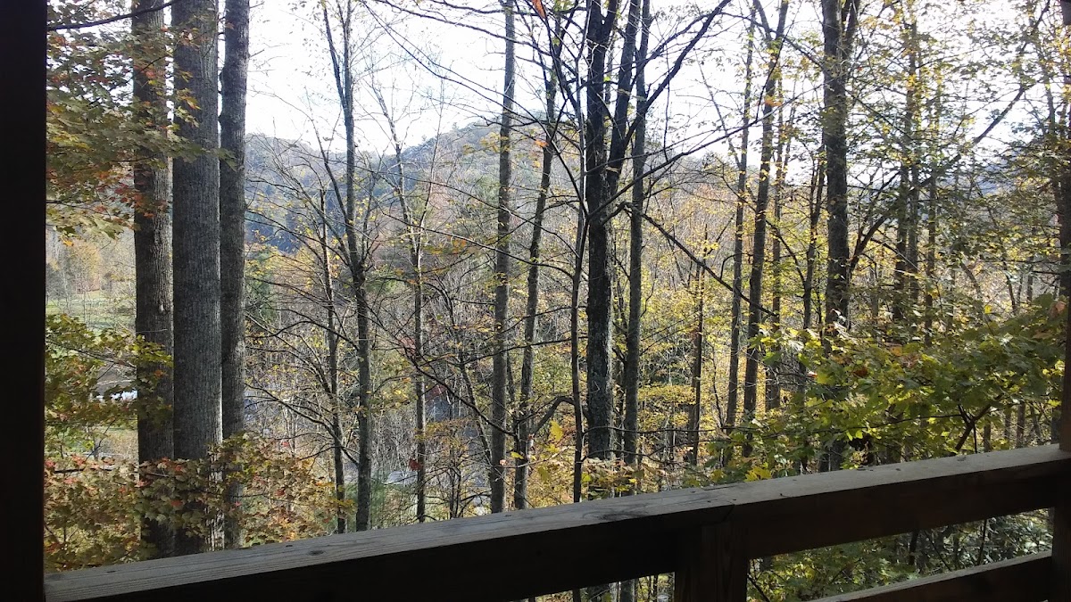 Willow Valley Resort photo 3