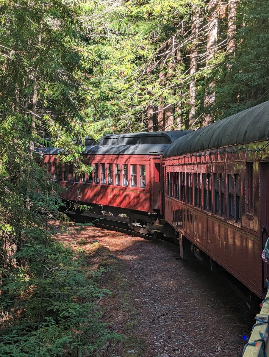 The Skunk Train