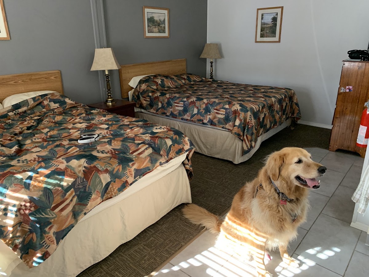 Springbrook Resort Motel & RV Park