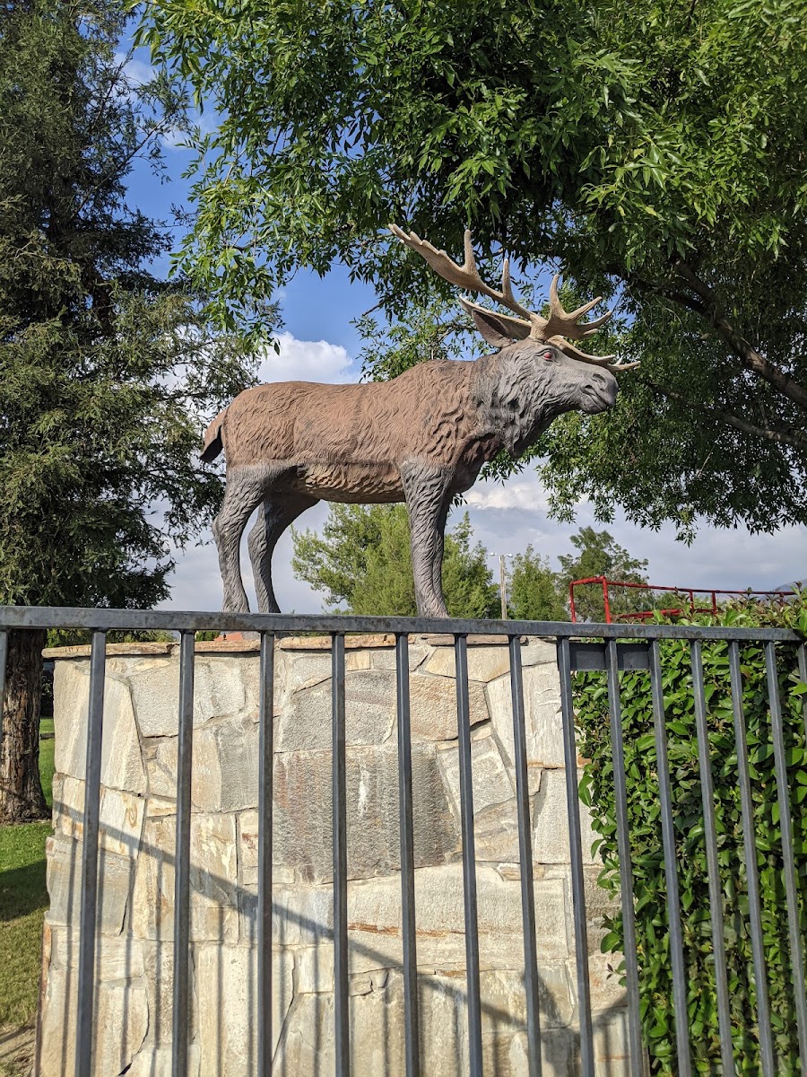 Mentone Beach Moose Lodge