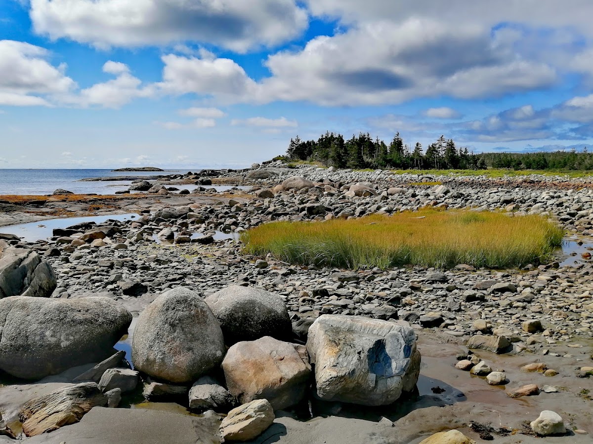 Tor Bay Provincial Park