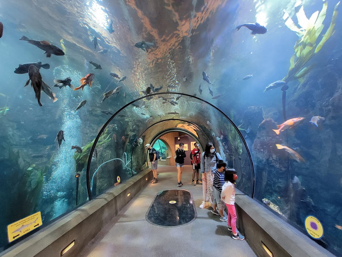 Oregon Coast Aquarium