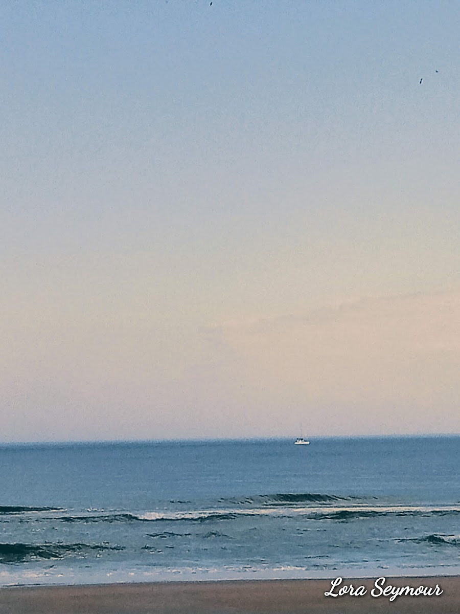Regency Inn-Daytona Beach photo 2
