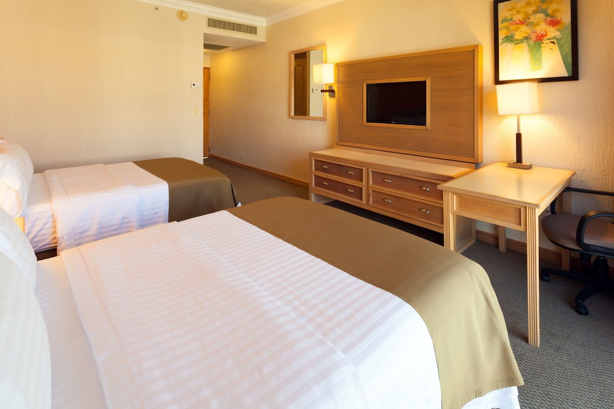 Holiday Inn la Piedad by IHG photo 3
