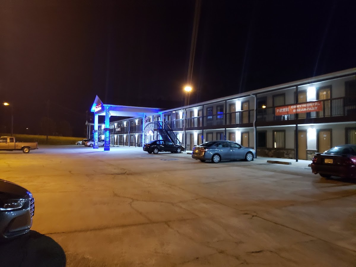 Shelaine Inn photo 2
