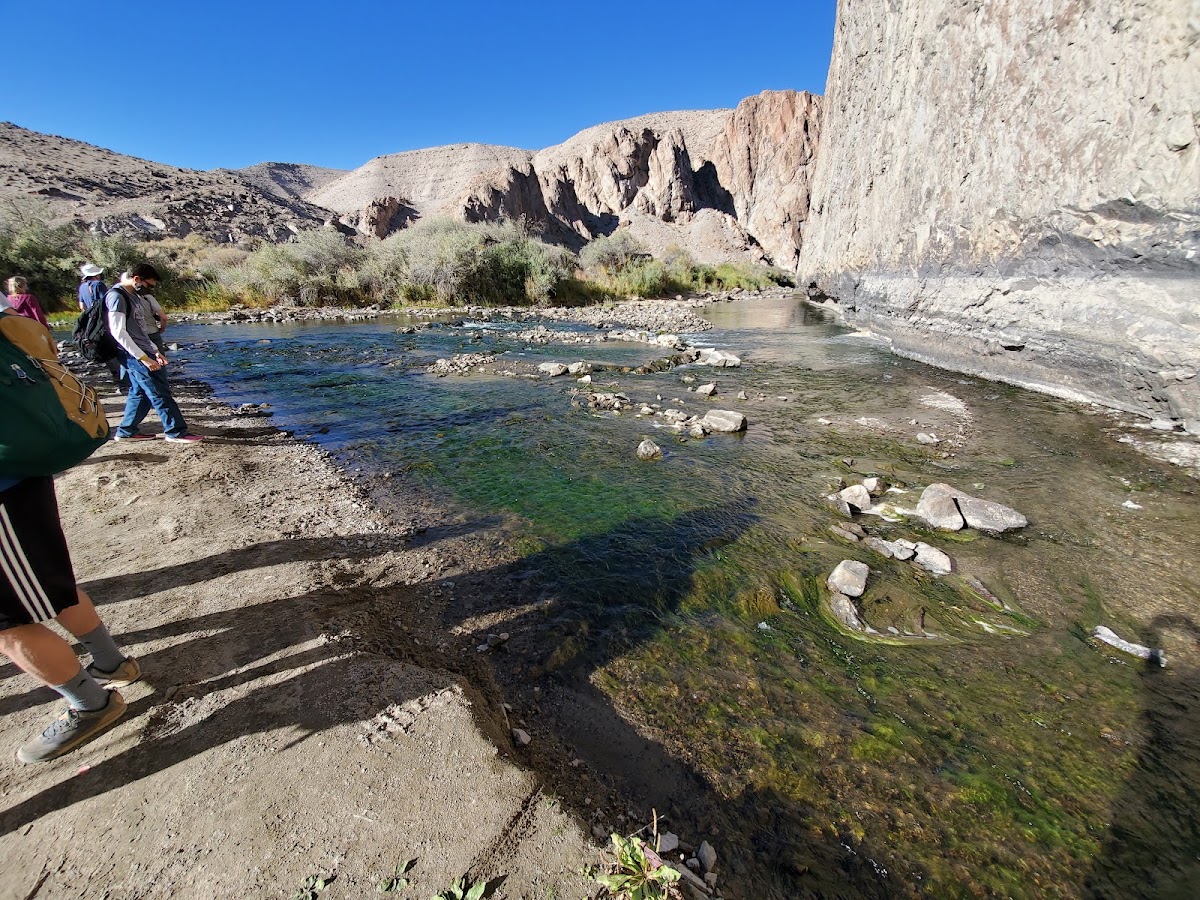 Wilson Canyon