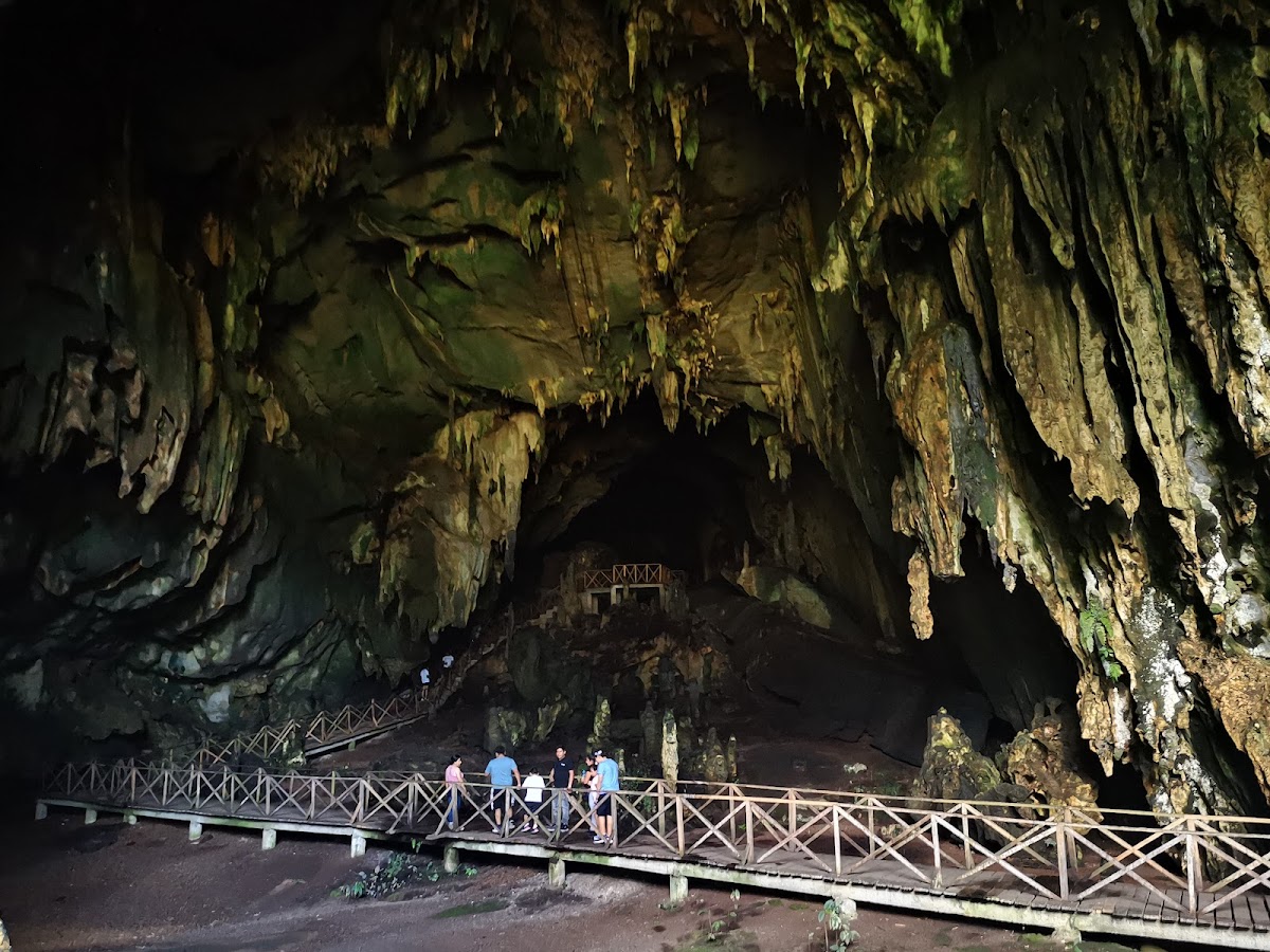 Cave of the Owls