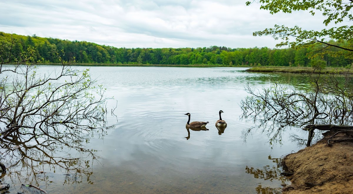 Moss Lake Preserve