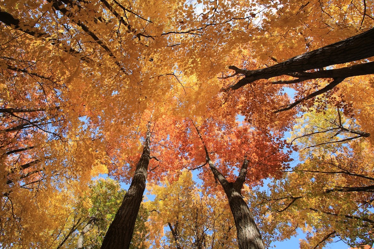 Lake Maria State Park